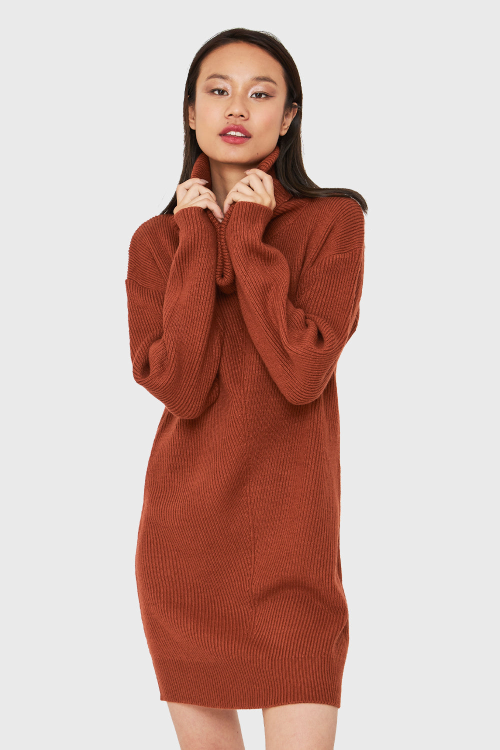 Sweater Vestido Cuello Alto Caf Nicopoly